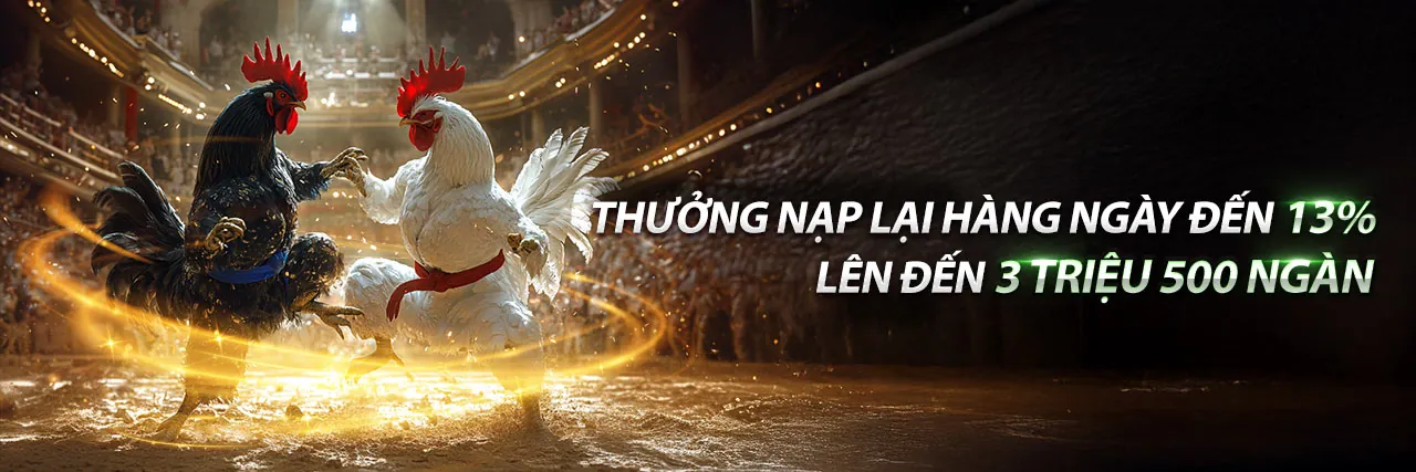Đá Gà Trực Tuyến Hấp Dẫn tại Netwin Trang Chủ Chính Thức