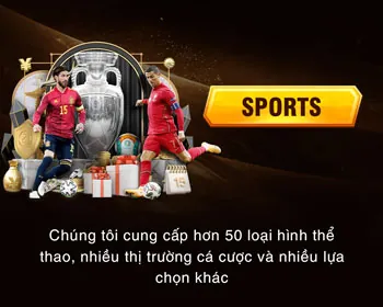 Phân tích xu hướng cá cược thể thao Netwin